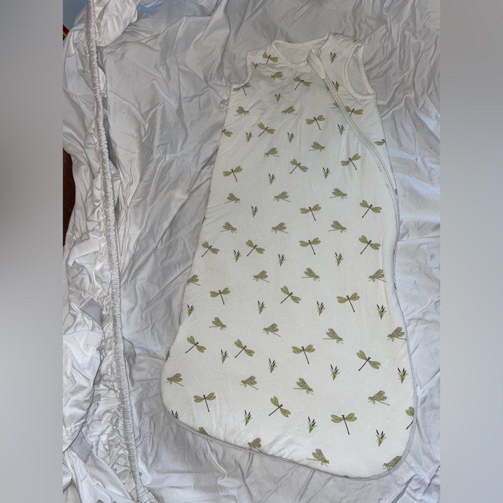 Kyte Baby sleep sack 1.0 Tog Size small, dragonfly